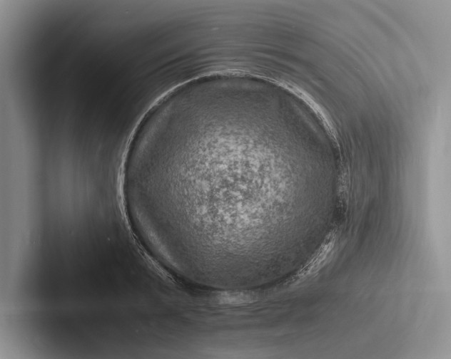X0000103250799200809111614
