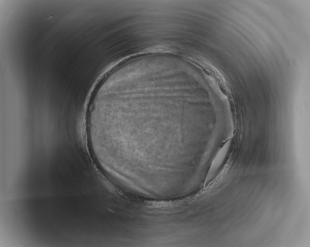 X0000103250800200809111614