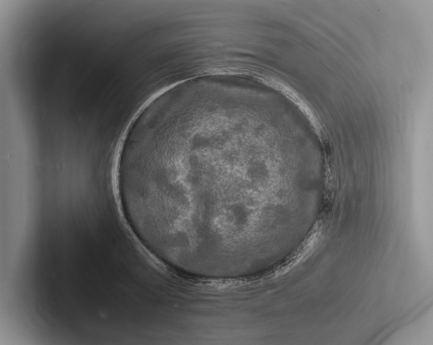X0000103250803200809111614
