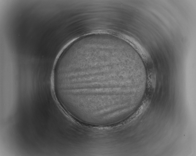 X0000103250804200809111614