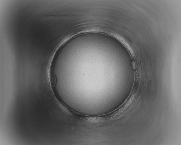 X0000103250805200809111614