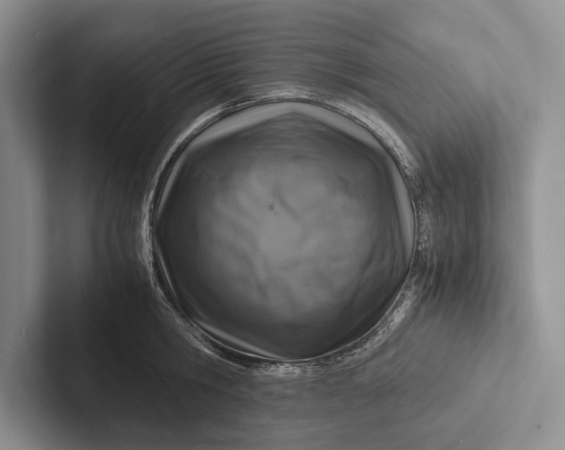X0000103250806200809111614