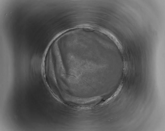 X0000103250808200809111614