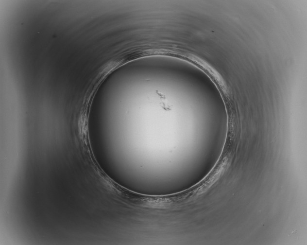 X0000103250809200809111614