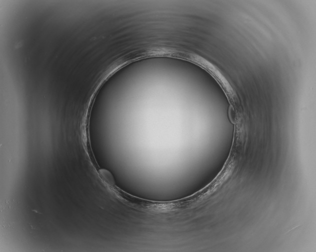 X0000103250810200809111614
