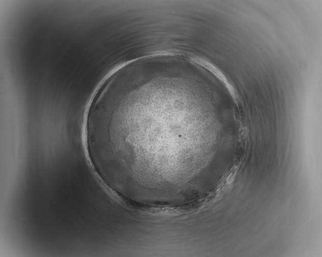 X0000103250811200809111614