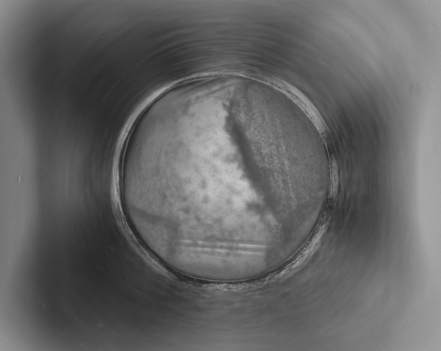 X0000103250812200809111614