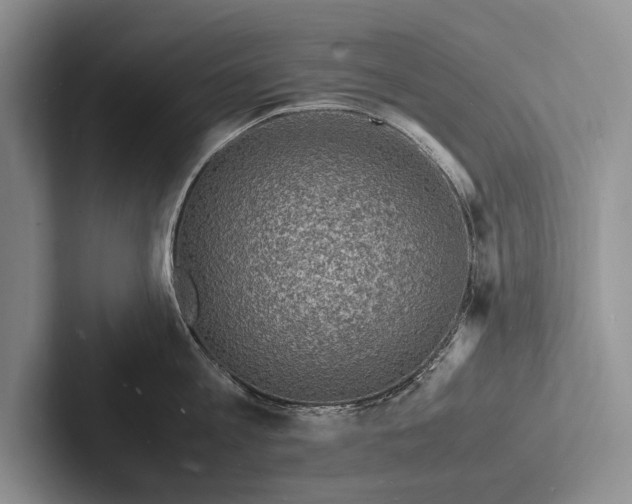 X0000103250813200809111614