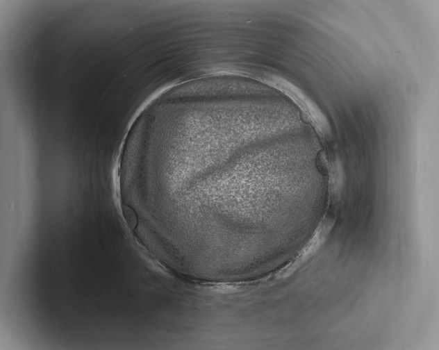 X0000103250814200809111614