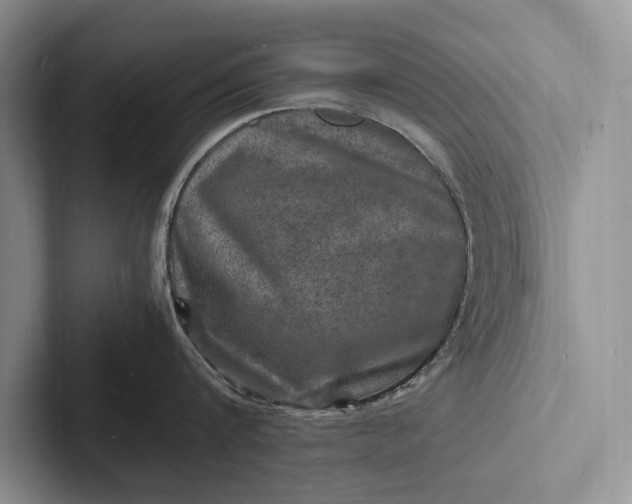 X0000103250816200809111614