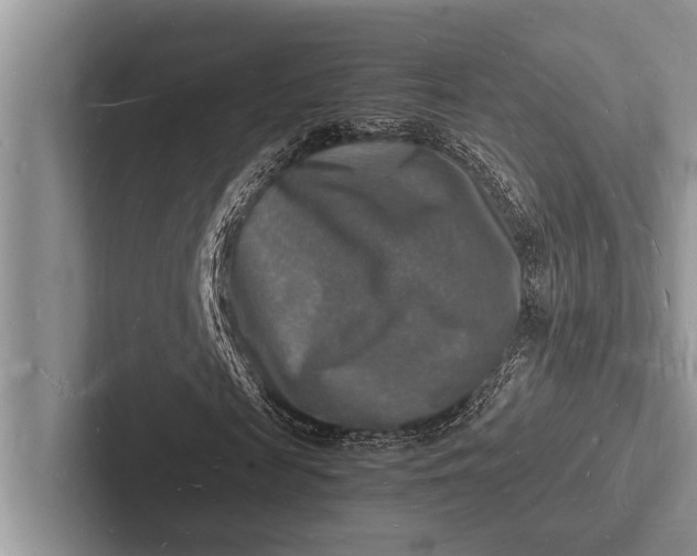 X0000103250817200809111613