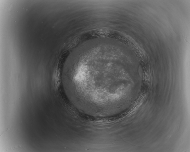 X0000103250818200809111613