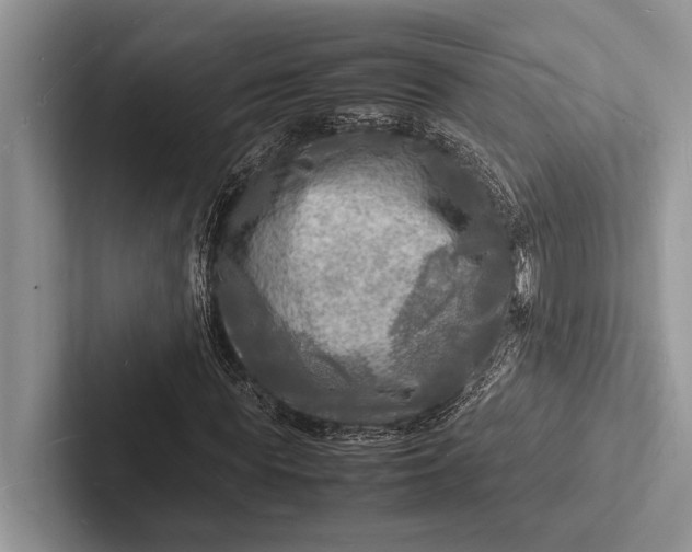 X0000103250819200809111613