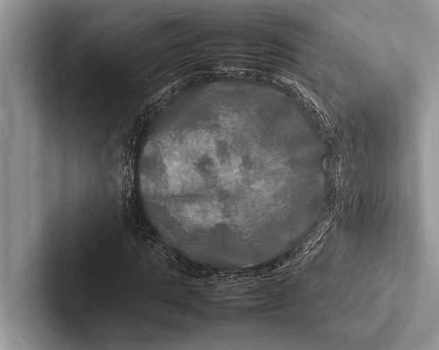 X0000103250821200809111613