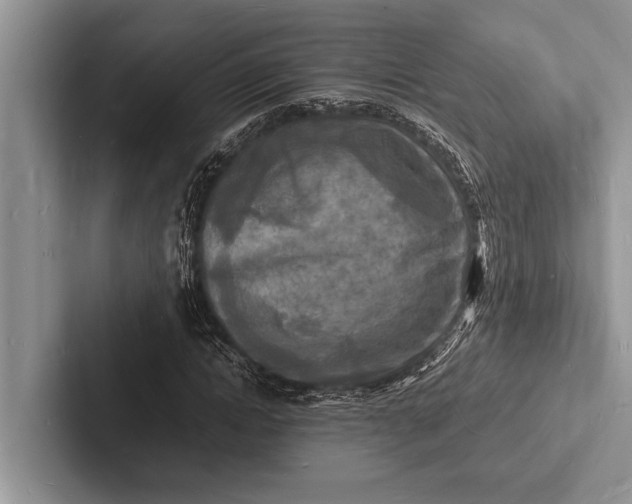 X0000103250822200809111613
