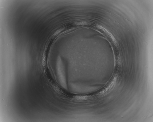 X0000103250825200809111613