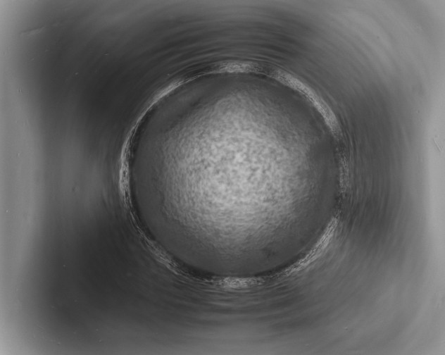 X0000103250827200809111613