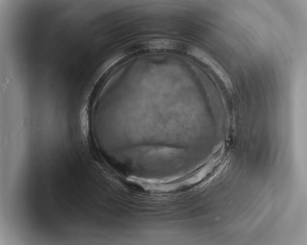 X0000103250829200809111613