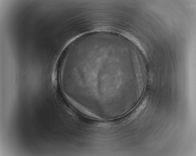 X0000103250830200809111613