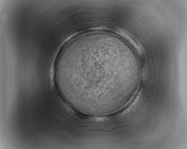 X0000103250831200809111613