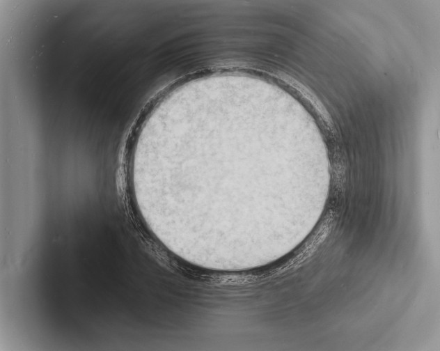 X0000103250832200809111613