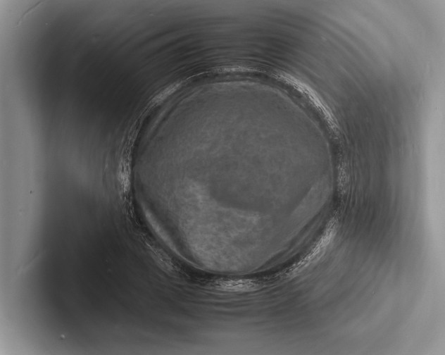 X0000103250833200809111613