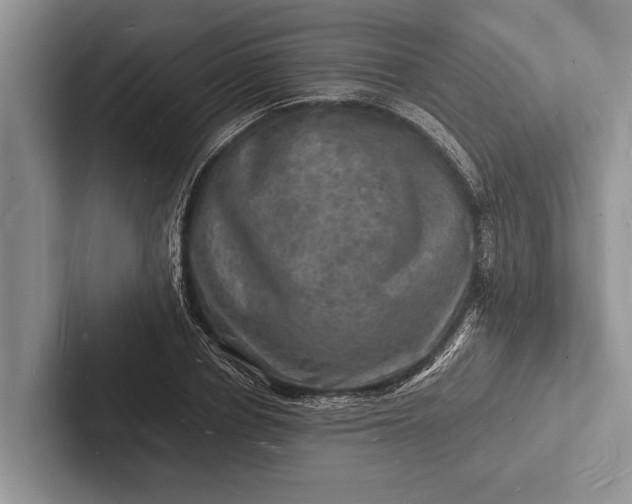 X0000103250834200809111613