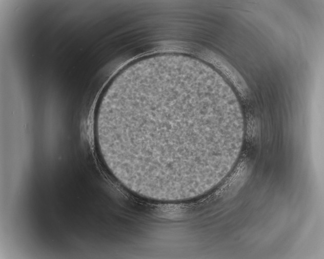 X0000103250836200809111613