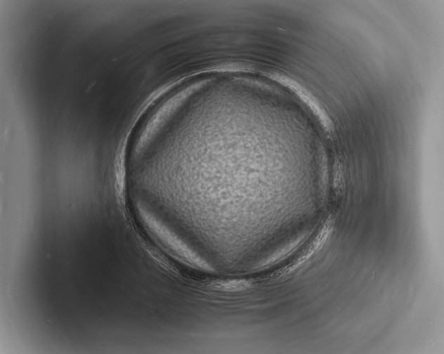 X0000103250837200809111613