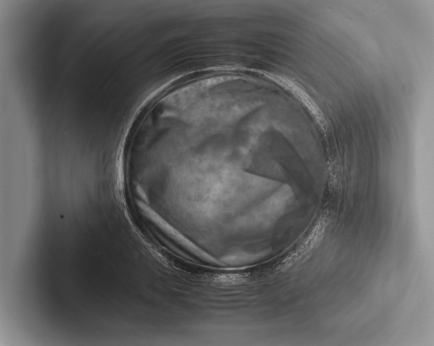 X0000103250839200809111613