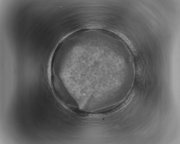 X0000103250840200809111613