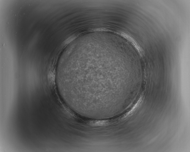 X0000103250841200809111613