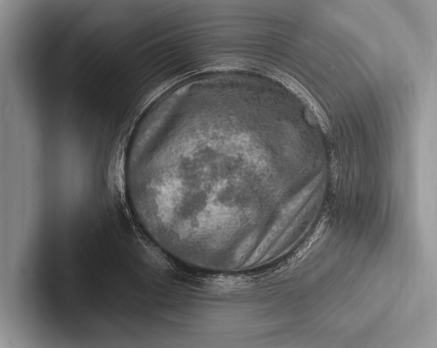 X0000103250842200809111614