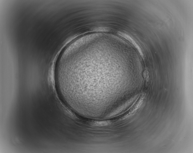 X0000103250843200809111614