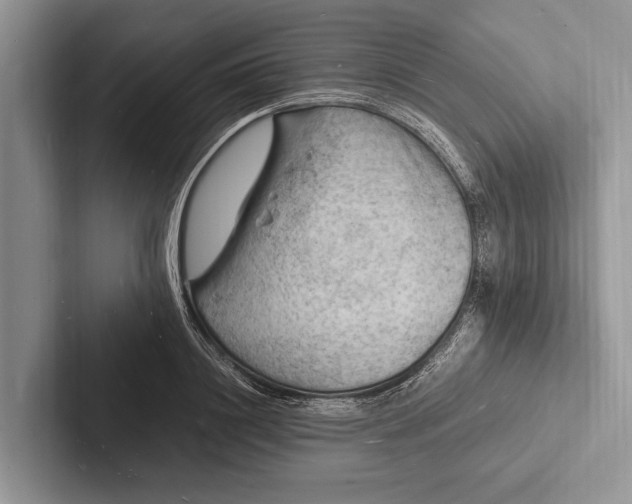 X0000103250844200809111614