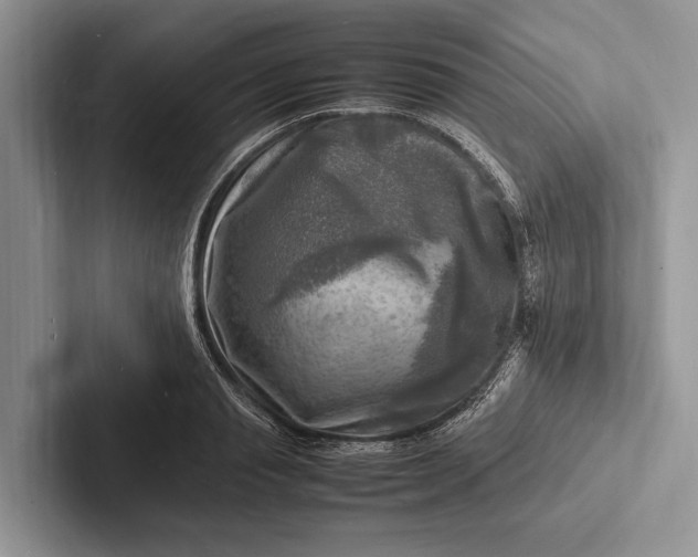 X0000103250845200809111614