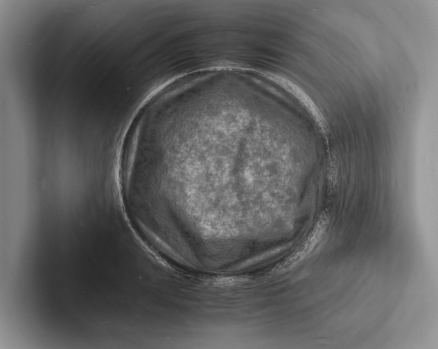 X0000103250847200809111614