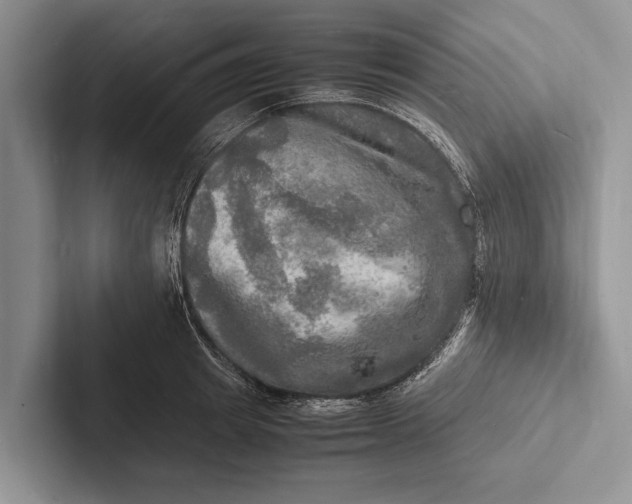 X0000103250849200809111614
