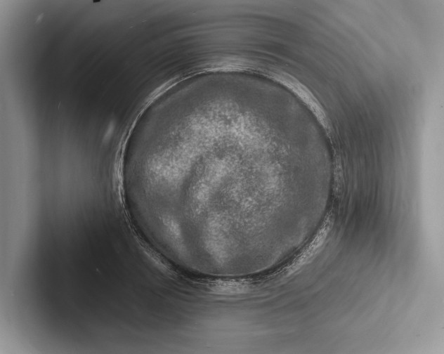 X0000103250850200809111614