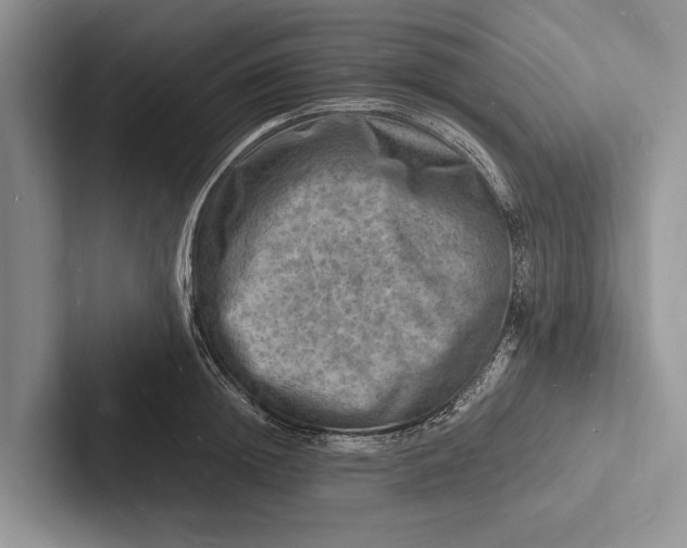 X0000103250852200809111614