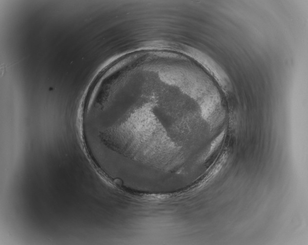 X0000103250854200809111614