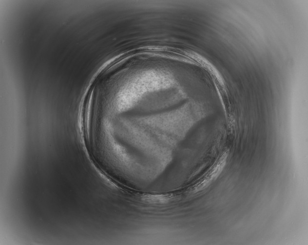 X0000103250855200809111614