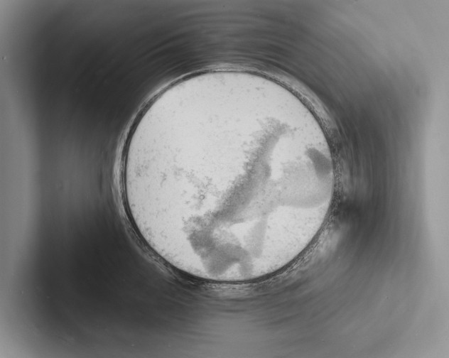X0000103250856200809111614