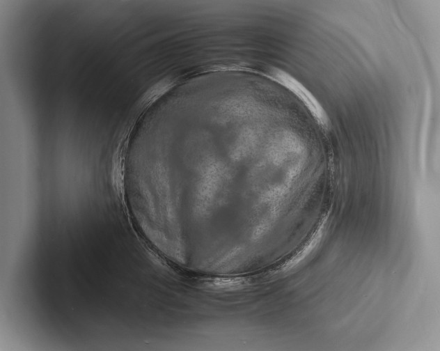 X0000103250857200809111614