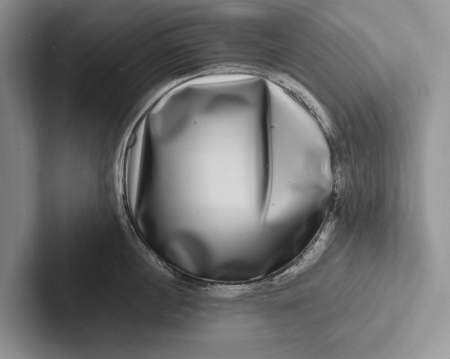 X0000103250860200809111614