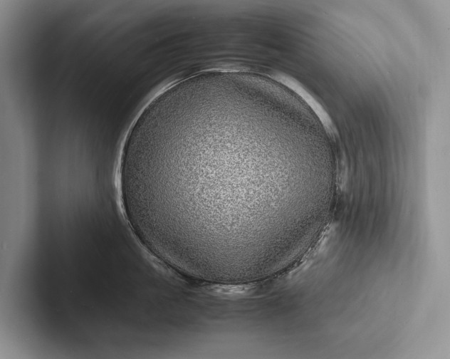 X0000103250861200809111614