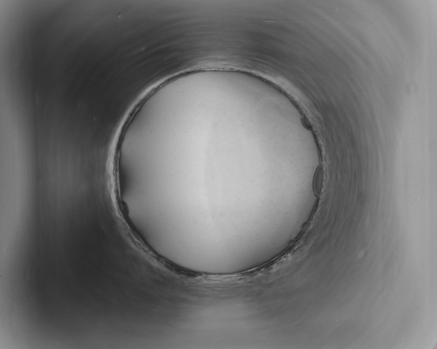 X0000103250864200809111614