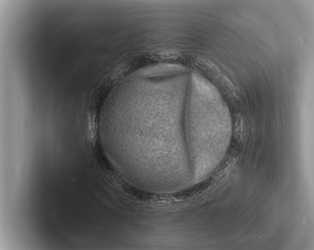 X0000103250866200809111613