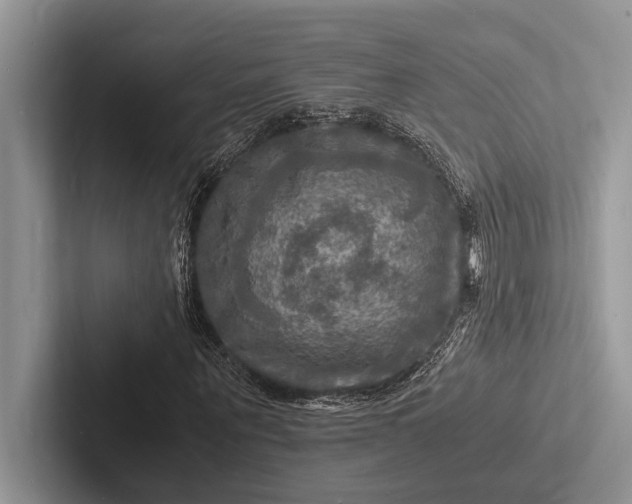 X0000103250867200809111613