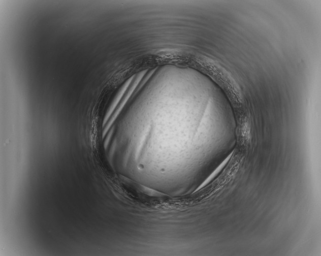 X0000103250868200809111613